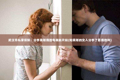 武汉市私家侦探：分手离婚挽回电视剧片段(和离婚的女人分手了能挽回吗)